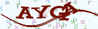 reload image
