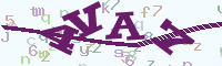 reload image
