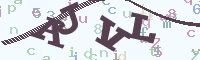 reload image