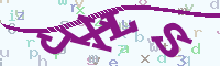 reload image