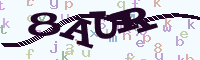 reload image