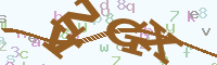 reload image