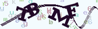 reload image