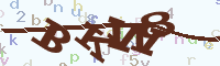 reload image