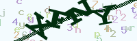 reload image