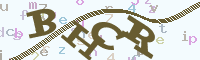 reload image