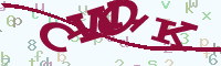 reload image