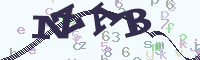 reload image