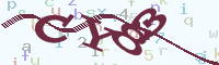 reload image