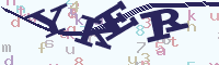 reload image
