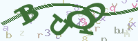 reload image
