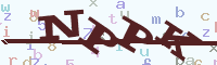 reload image
