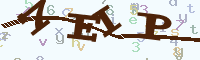 reload image
