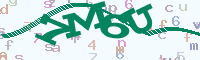 reload image