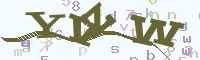 reload image