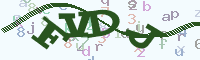 reload image