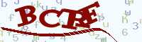 reload image