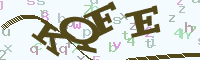 reload image