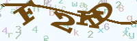 reload image