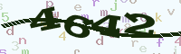 reload image
