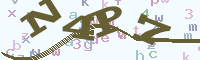 reload image