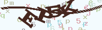 reload image