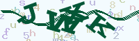 reload image
