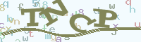 reload image