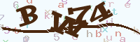 reload image