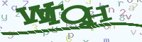 reload image