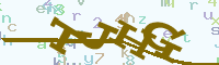 reload image